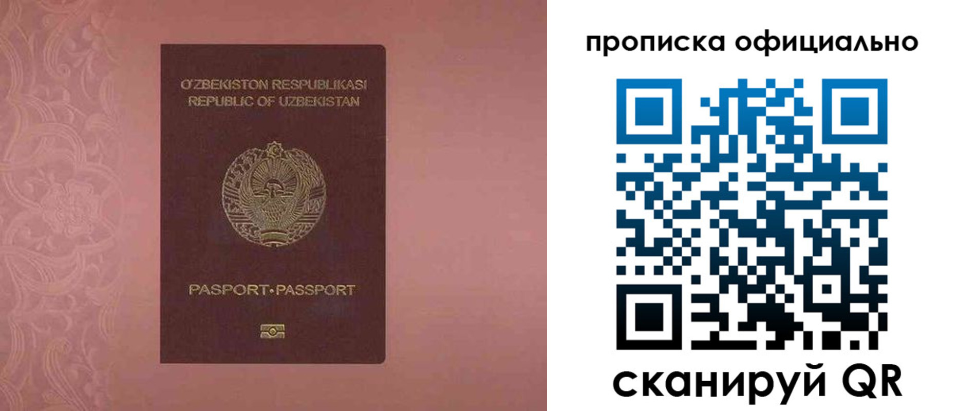 прописка гарантия в Михайловке